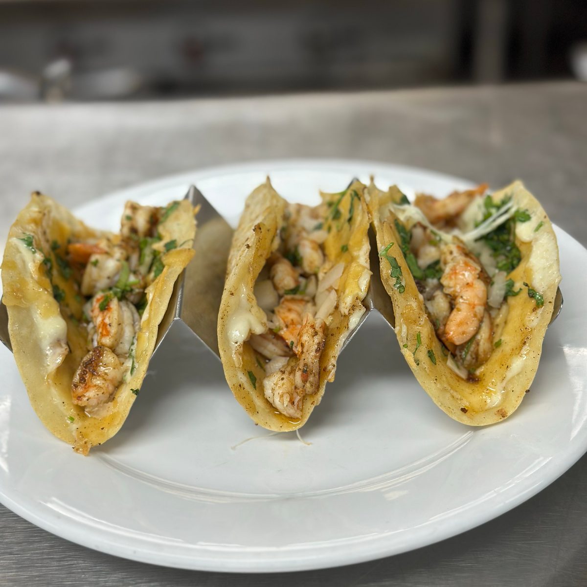 Shrimp Quesadillas